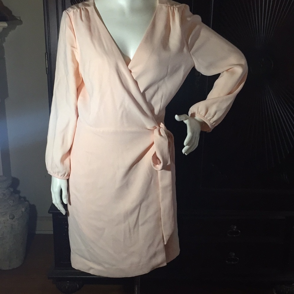 J. Crew Wrap Dress